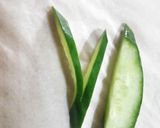 竹輪と かまぼこ 可愛いお花 飾り切り作り方7写真