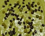 ミルキー抹茶ブレッド作り方6写真