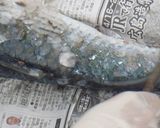 ボラのフライ(゜))<<作り方1写真