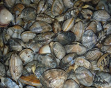 あさりの酒蒸し(マーガリン風味)作り方1写真
