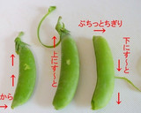 簡単！今更聞けないえんどうのスジの取り方作り方1写真