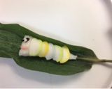 開けてびっくり！かまぼこいのぼりちまき作り方9写真