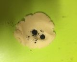 妖怪ウォッチかわいいウィスパー♪クッキー作り方8写真