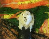 ムンクの叫び 弁当 キャラ弁作り方4写真