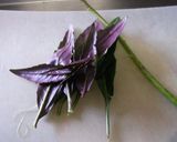 好きに食べちゃって♪♪白魚と金時草の一皿作り方1写真