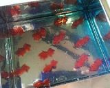 ♪簡単♪夏菓子 金魚・錦玉羹作り方6写真