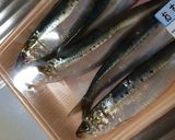みんな大好き鰯のフライ♪(手開き解説付)作り方1写真