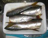 コノシロの唐揚げ～さっぱりドレッシング～作り方7写真