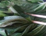 フキの葉で作る佃煮だワン作り方1写真