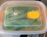 5分で完成！青梗菜と桜海老炒め作り方2写真