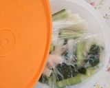 ちょこっと浅漬け…(o˘◡˘o)作り方10写真
