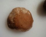 椎茸の飾り切り作り方1写真