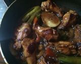 簡単！鶏手羽元の煮込み作り方5写真