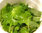 青じそのピリカラ漬け作り方1写真