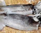 漁師直伝！イカの塩辛作り方1写真