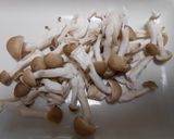 豚ばら肉のオイスターソース炒めご飯のせ作り方4写真