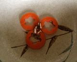 風邪に！小田巻蒸し(うどん入り茶碗蒸し)作り方8写真