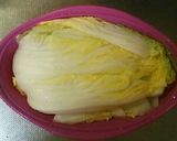 簡単　子供が喜ぶ味噌がみそ！白菜で餃子作り方2写真