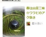 春は山菜三昧❀ワラビのアク抜き作り方4写真