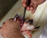 初心者OKマグロ漁師さん鮭頭簡単さばき方作り方2写真