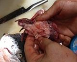 初心者OKマグロ漁師さん鮭頭簡単さばき方作り方3写真