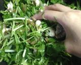 ザーサイとササミの水菜サラダ作り方5写真