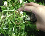 ザーサイとササミの水菜サラダ作り方5写真