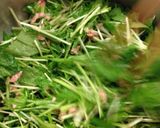 水菜のサラダ作り方4写真