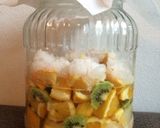 夏バテ対策に手作り酵素シロップ作り方7写真