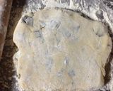 チョコチップスコーン作り方5写真