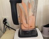 本格的!サーモンテリーヌ!Vitamix作り方4写真