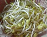 大豆もやしと水菜のナムル♪作り方1写真