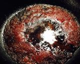 簡単フレンチ♪牛肉のミルフィーユ作り方9写真