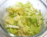 簡単＆即席漬物☆白菜のこんぶ茶和え作り方1写真