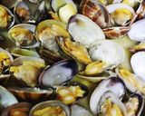 あさりの酒蒸しでイタリアンなグリル作り方10写真