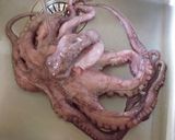 イタリア☆WMF圧力鍋で作る海のサラダ作り方1写真