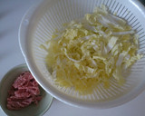 簡単！白菜と豚ひき肉の中華風炒め作り方1写真