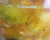夏バテ対策に手作り酵素シロップ作り方11写真
