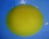 大盛り海鮮野菜サラダ作り方1写真