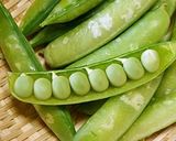 臭くないっ！！うすいえんどうde青豆飯作り方7写真