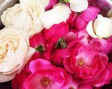 薔薇のジャム作り方1写真