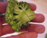 茹でブロッコリー作り方7写真