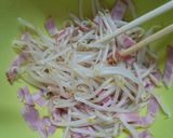 材料３つ☆簡単春巻き作り方4写真