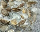 あさりの超！簡単酒蒸し作り方3写真