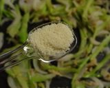 ブロッコリーの芯でご飯がすすむさん♪作り方3写真