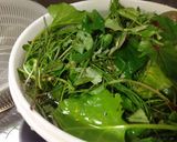 春☆野草の酵素ジュース　２０１４年作り方2写真