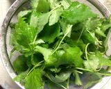 春☆野草の酵素ジュース　２０１４年作り方5写真