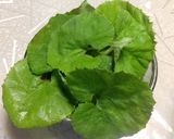春☆野草の酵素ジュース　２０１４年作り方6写真