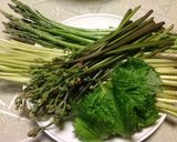春☆野草の酵素ジュース　２０１４年作り方7写真