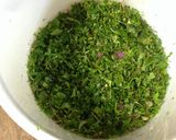 春☆野草の酵素ジュース　２０１４年作り方14写真